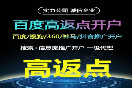 百度竞价入门必看：实操技巧与成功案例